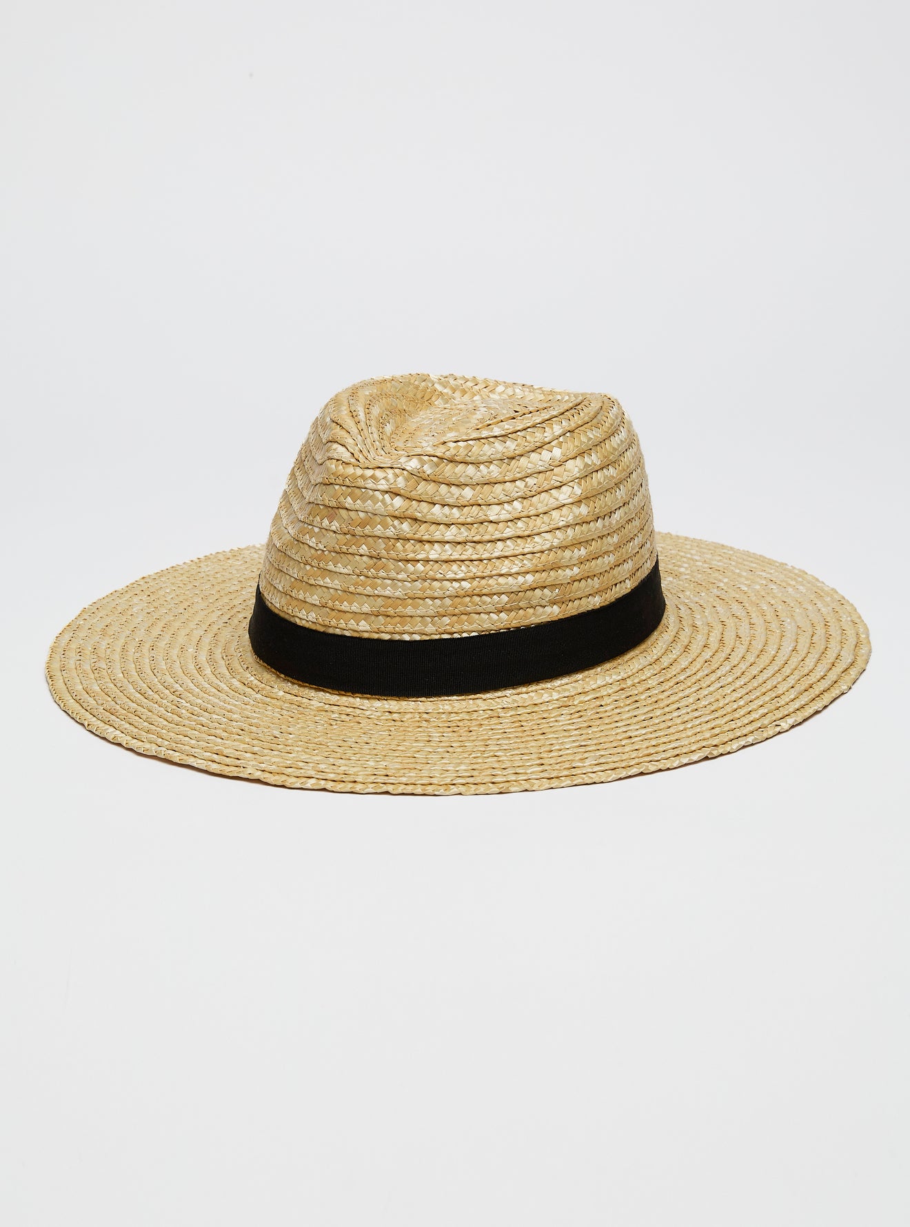 DION FEDORA