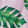 Palms