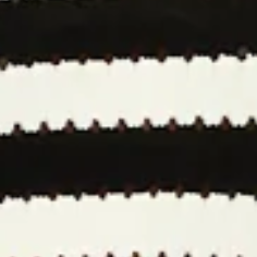 BLACK WHITE STRIPE