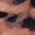 TIGERBALM